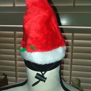 Small pet santa hat Never Used new in bag